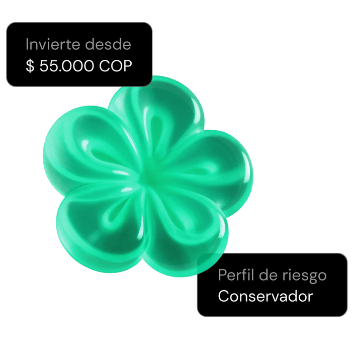 Accicuenta conservadora reserva